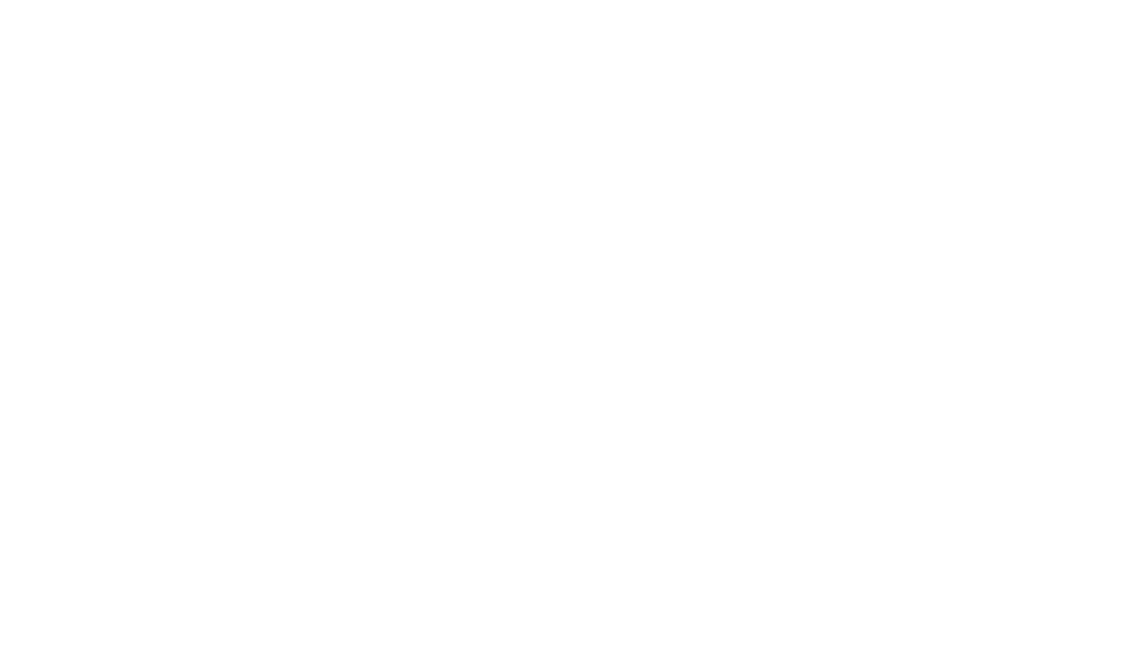IBM Partner Plus platinum partner