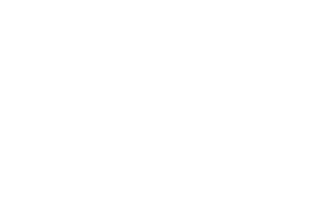vertali logo